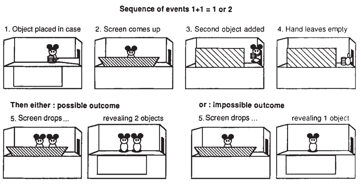 Studiul lui Karen Wynn, din revista Nature (1992) Experimentul lui Karen Wynn
